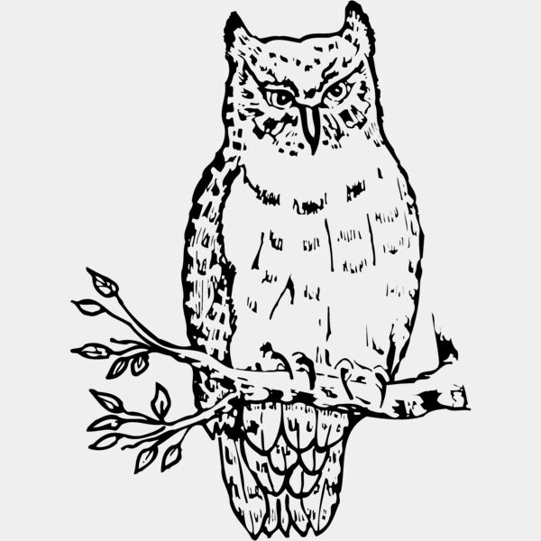 BIRD049 Thumbnail