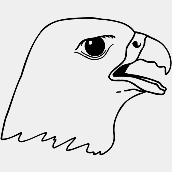 EAGLE45 Thumbnail