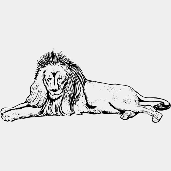LION008 Thumbnail