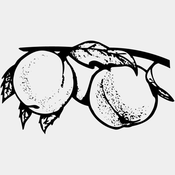 FRUIT031 Thumbnail