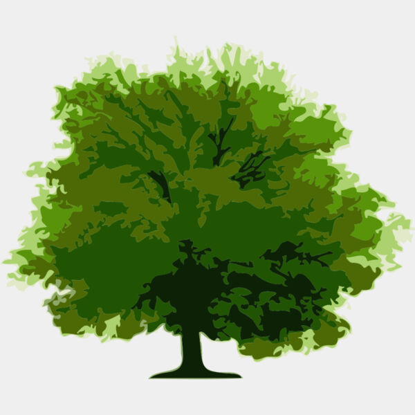 Tree 8 Thumbnail