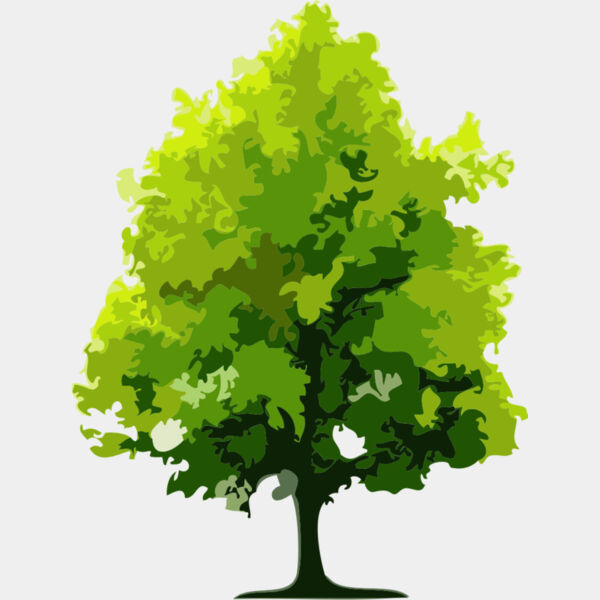 Tree 26 Thumbnail
