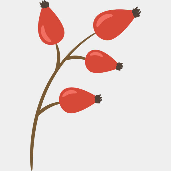 Fruit2 Thumbnail